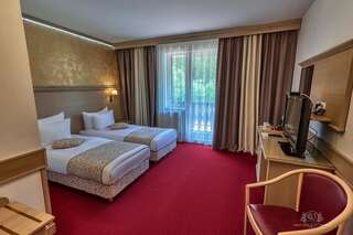 Отель Hotel Lacu Rosu Лаку-Рошу Улучшенный двухместный номер с 1 кроватью или 2 отдельными кроватями и террасой-1